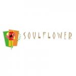 Soul Flower Coupons & Offers